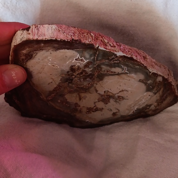 Petrified wood slice 15.2 oz - Picture 3 of 5